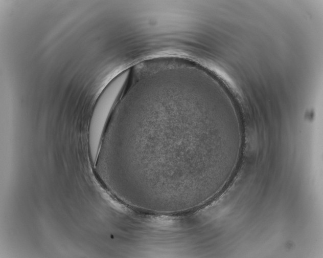 X0000091001329200708091532