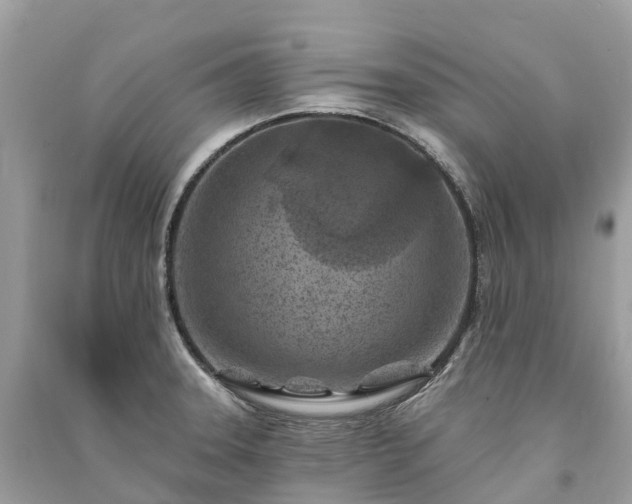 X0000091001331200708091532