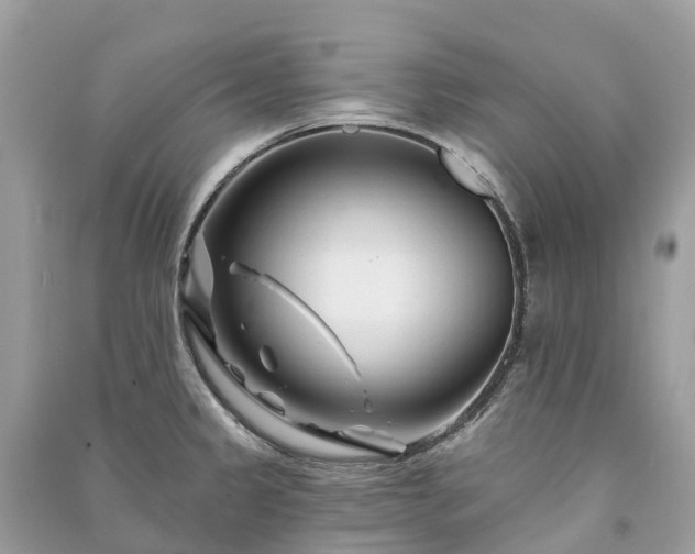 X0000091001333200708091532