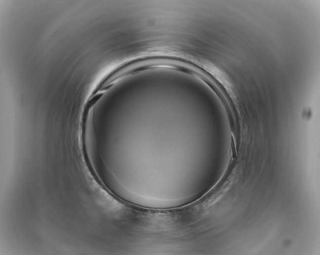 X0000091001334200708091532
