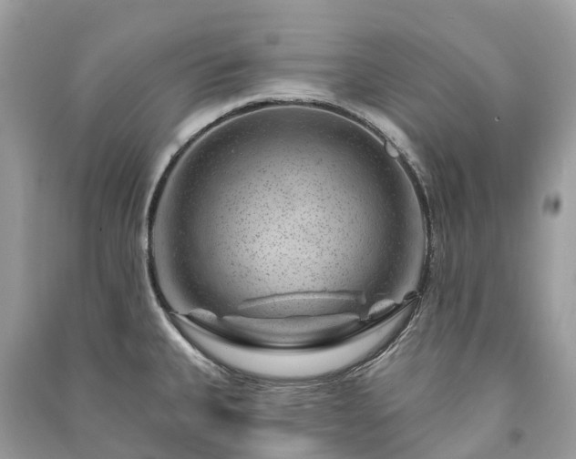 X0000091001335200708091532