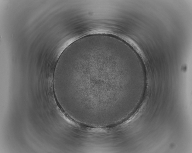 X0000091001337200708091532