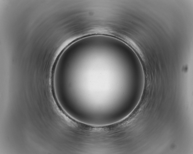 X0000091001339200708091532
