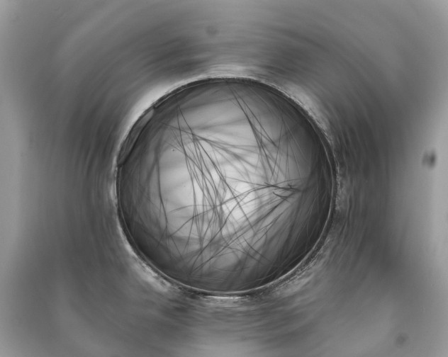 X0000091001342200708091532