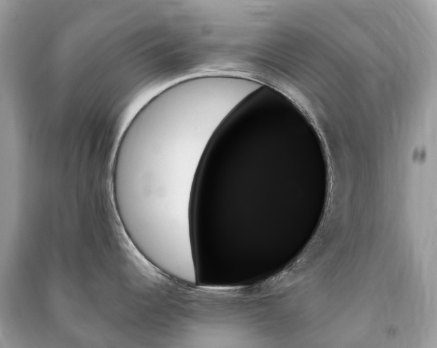 X0000091001344200708091532