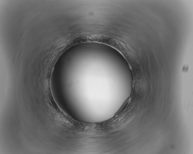 X0000091001345200708091531