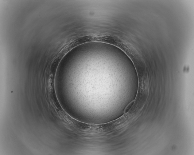 X0000091001346200708091531