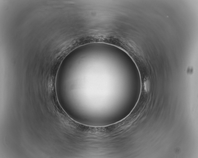 X0000091001347200708091531