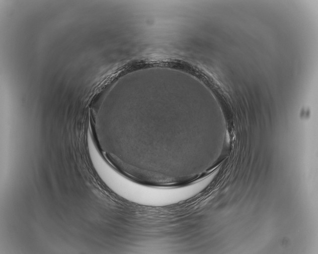 X0000091001348200708091531