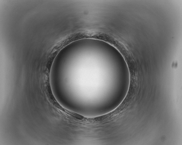 X0000091001349200708091531