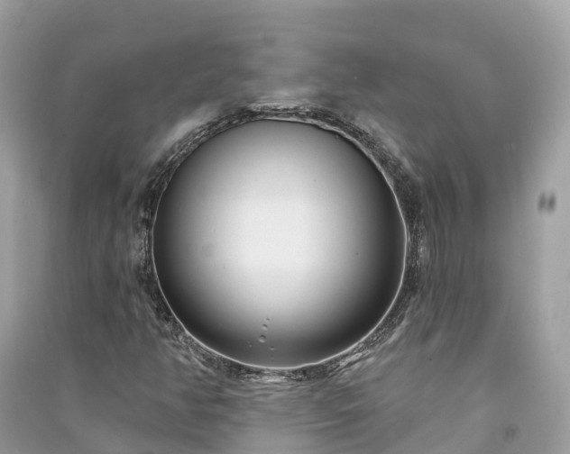 X0000091001350200708091531