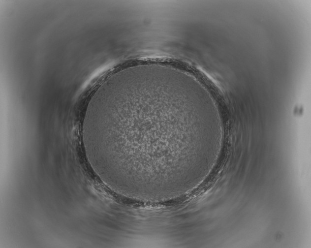 X0000091001351200708091531