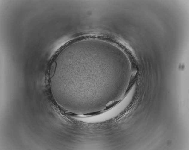 X0000091001352200708091531