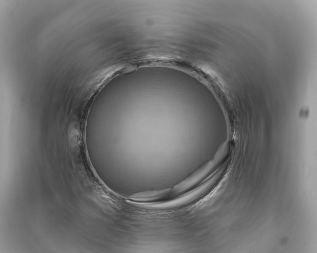X0000091001353200708091531