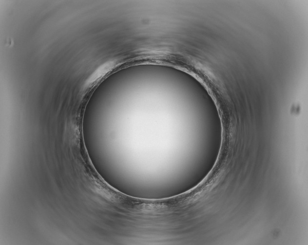 X0000091001354200708091531