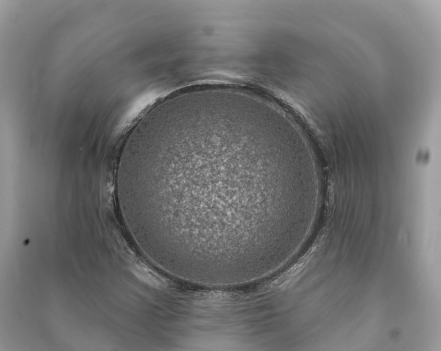 X0000091001355200708091531
