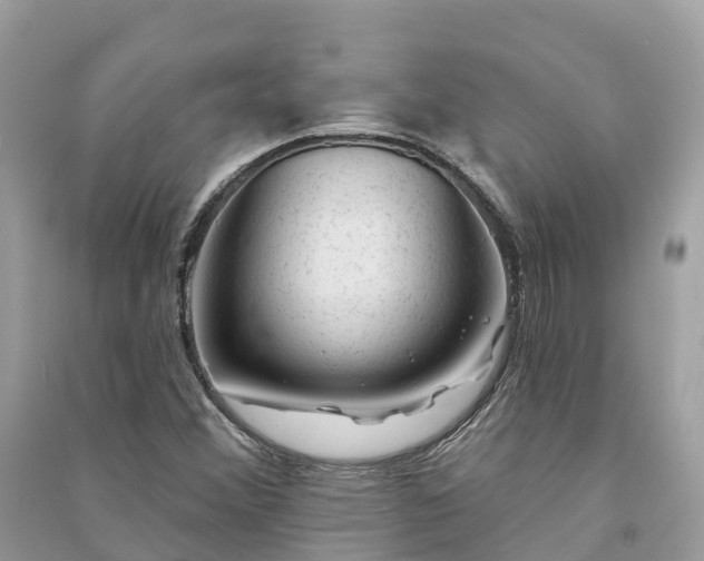 X0000091001356200708091531