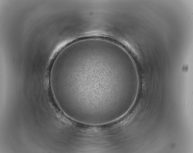 X0000091001358200708091531