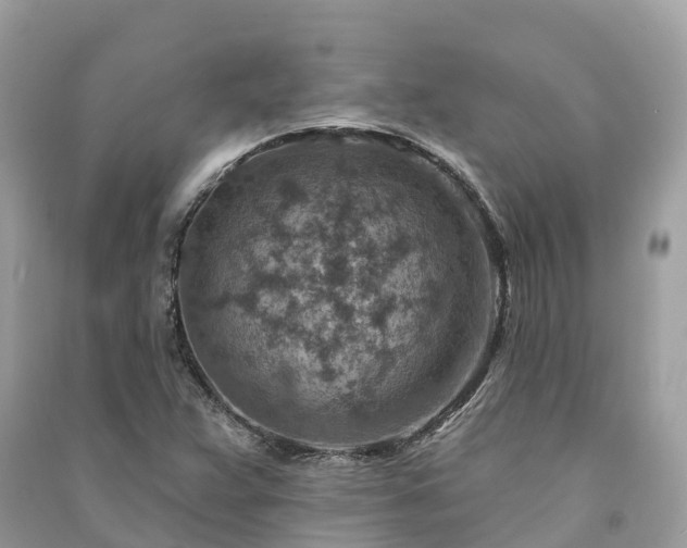 X0000091001359200708091531