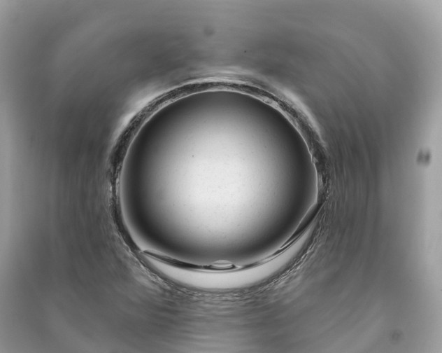 X0000091001360200708091531