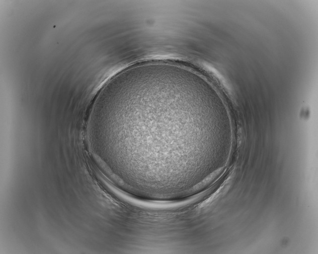 X0000091001361200708091531
