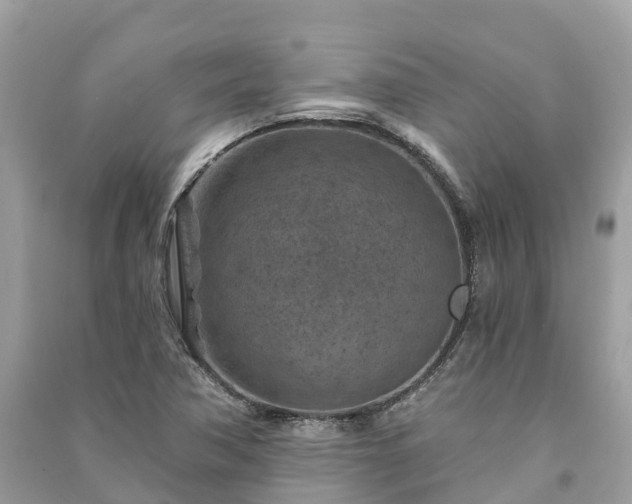 X0000091001362200708091531