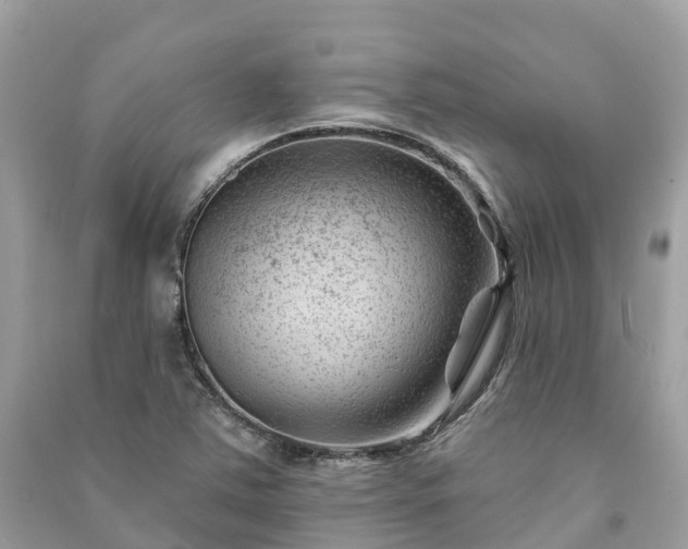 X0000091001363200708091531