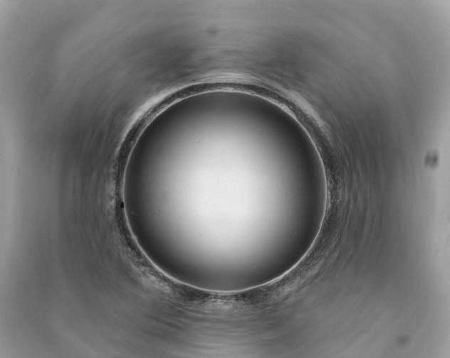 X0000091001364200708091531
