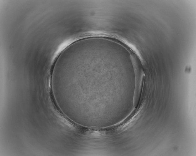 X0000091001365200708091531