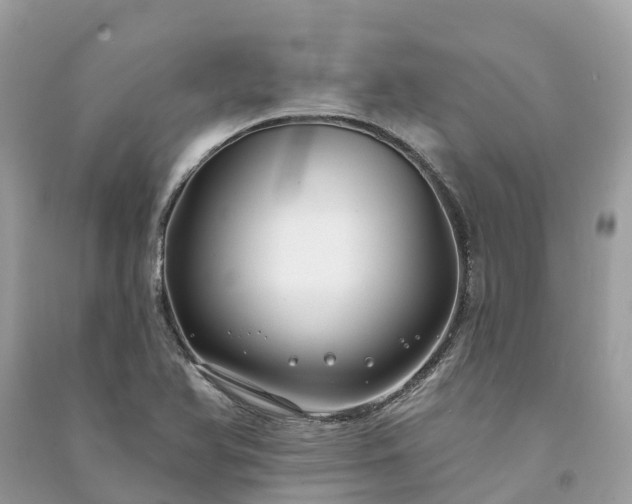X0000091001366200708091531