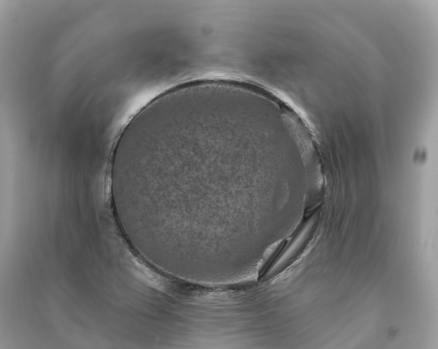 X0000091001367200708091531