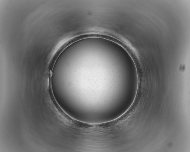 X0000091001368200708091531