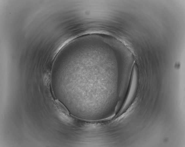 X0000091001369200708091531