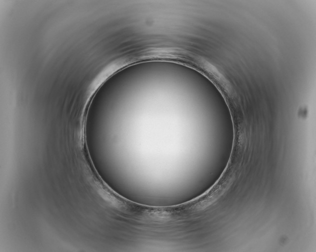 X0000091001370200708091531