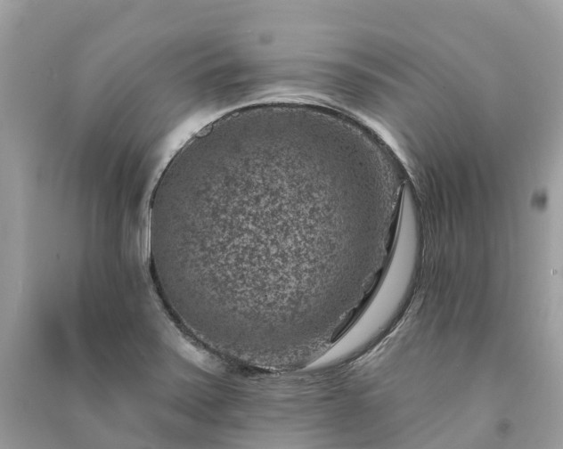 X0000091001371200708091531