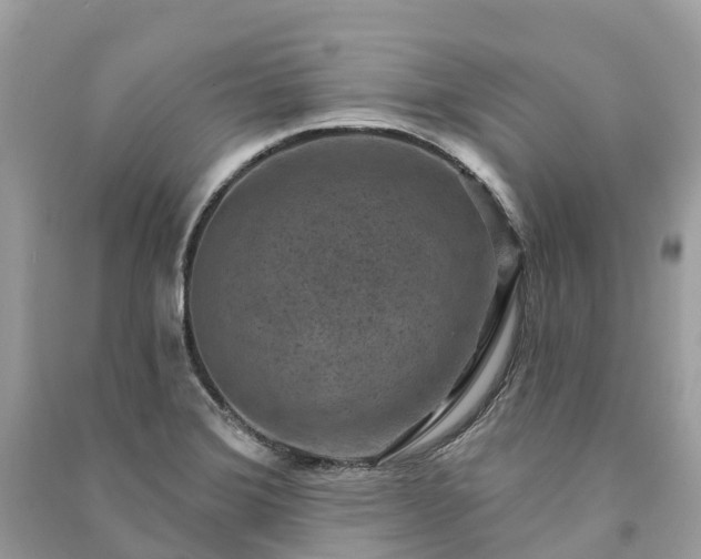 X0000091001372200708091531