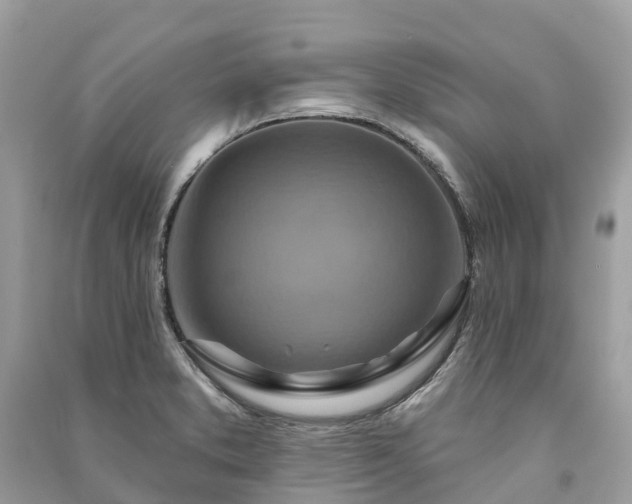 X0000091001373200708091531