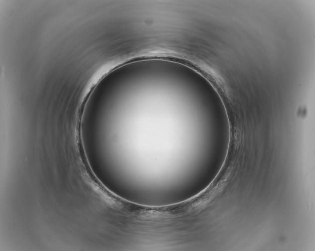 X0000091001374200708091531