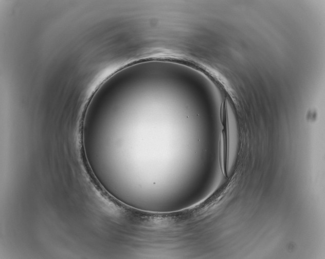 X0000091001375200708091531