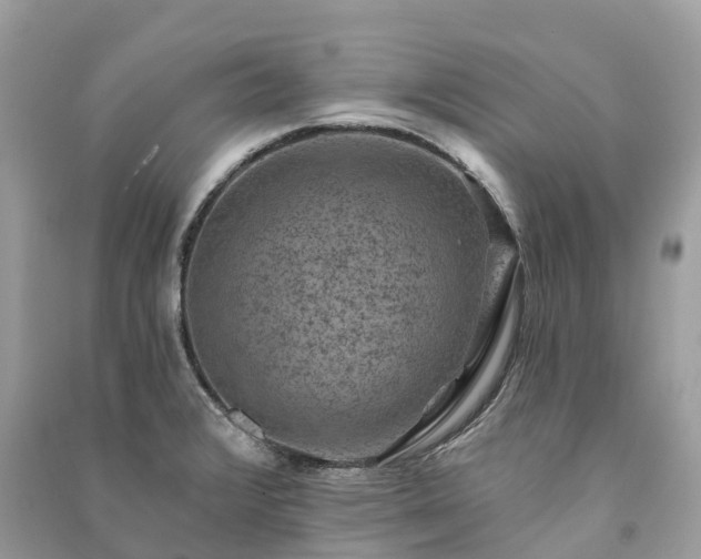 X0000091001376200708091531
