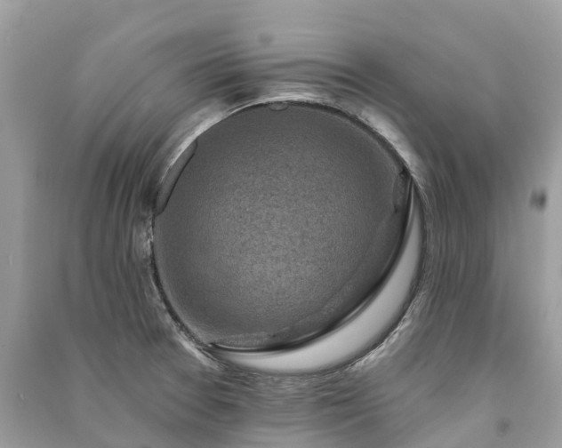 X0000091001377200708091531