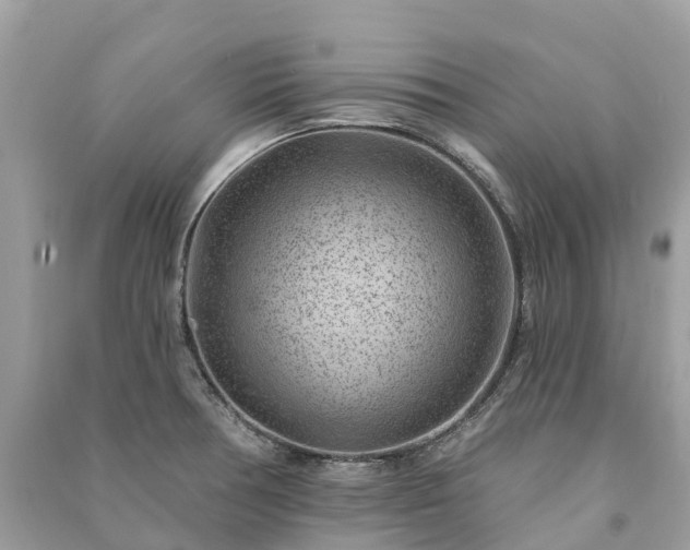 X0000091001378200708091531
