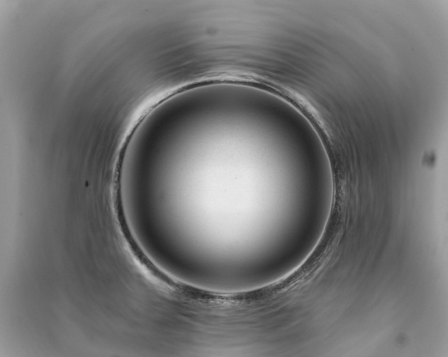 X0000091001379200708091531