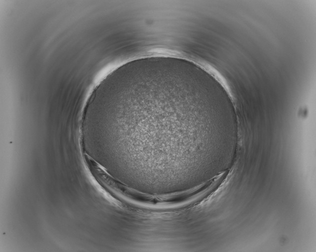 X0000091001381200708091531