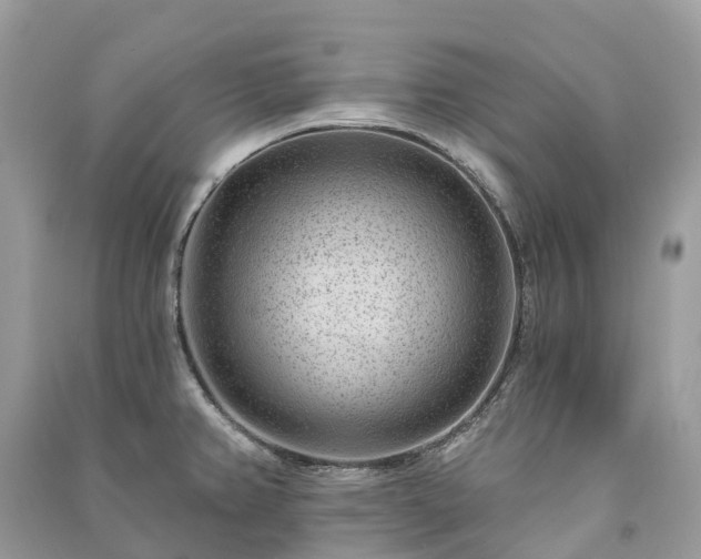 X0000091001382200708091531