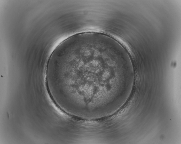 X0000091001383200708091531