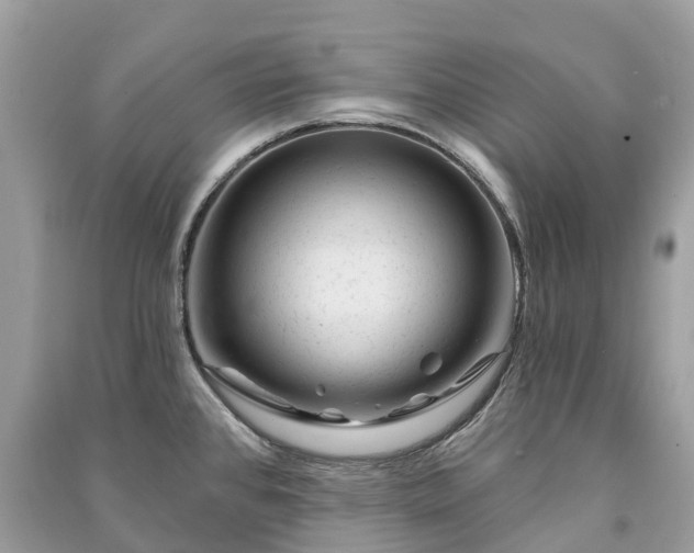 X0000091001384200708091531