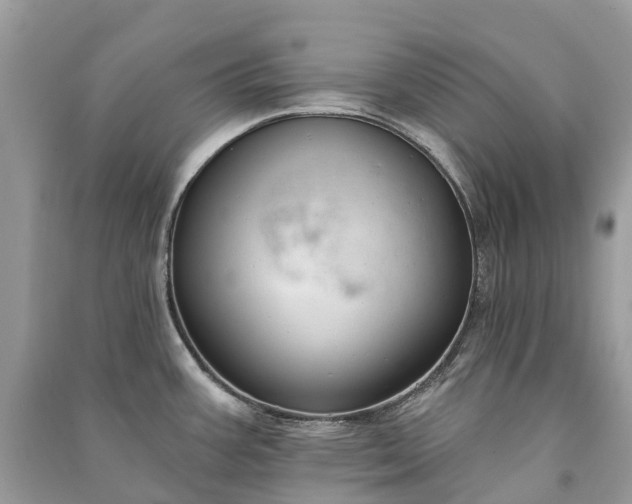 X0000091001387200708091531