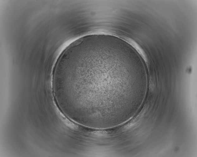 X0000091001388200708091531