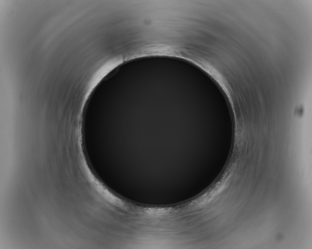 X0000091001389200708091531